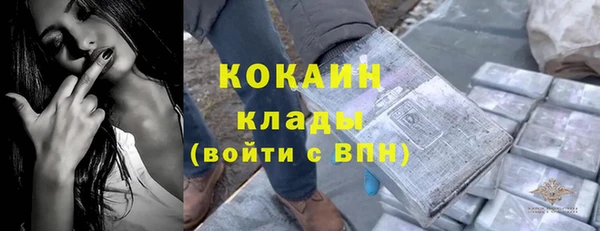 гидра Аркадак