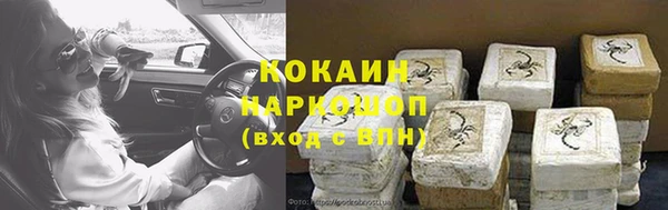 гидра Аркадак