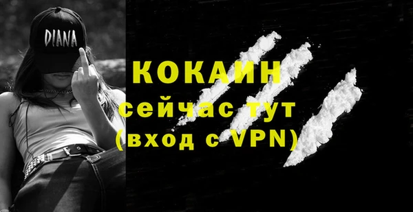 гидра Аркадак