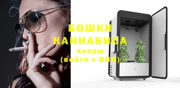 гидра Аркадак