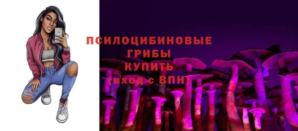твердый Армянск
