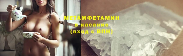 гидра Аркадак