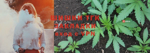 гидра Аркадак