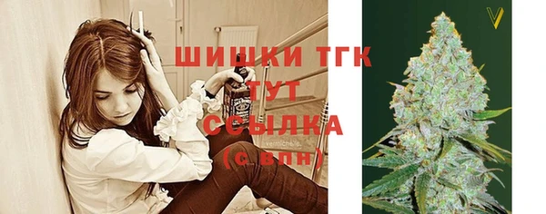 гидра Аркадак